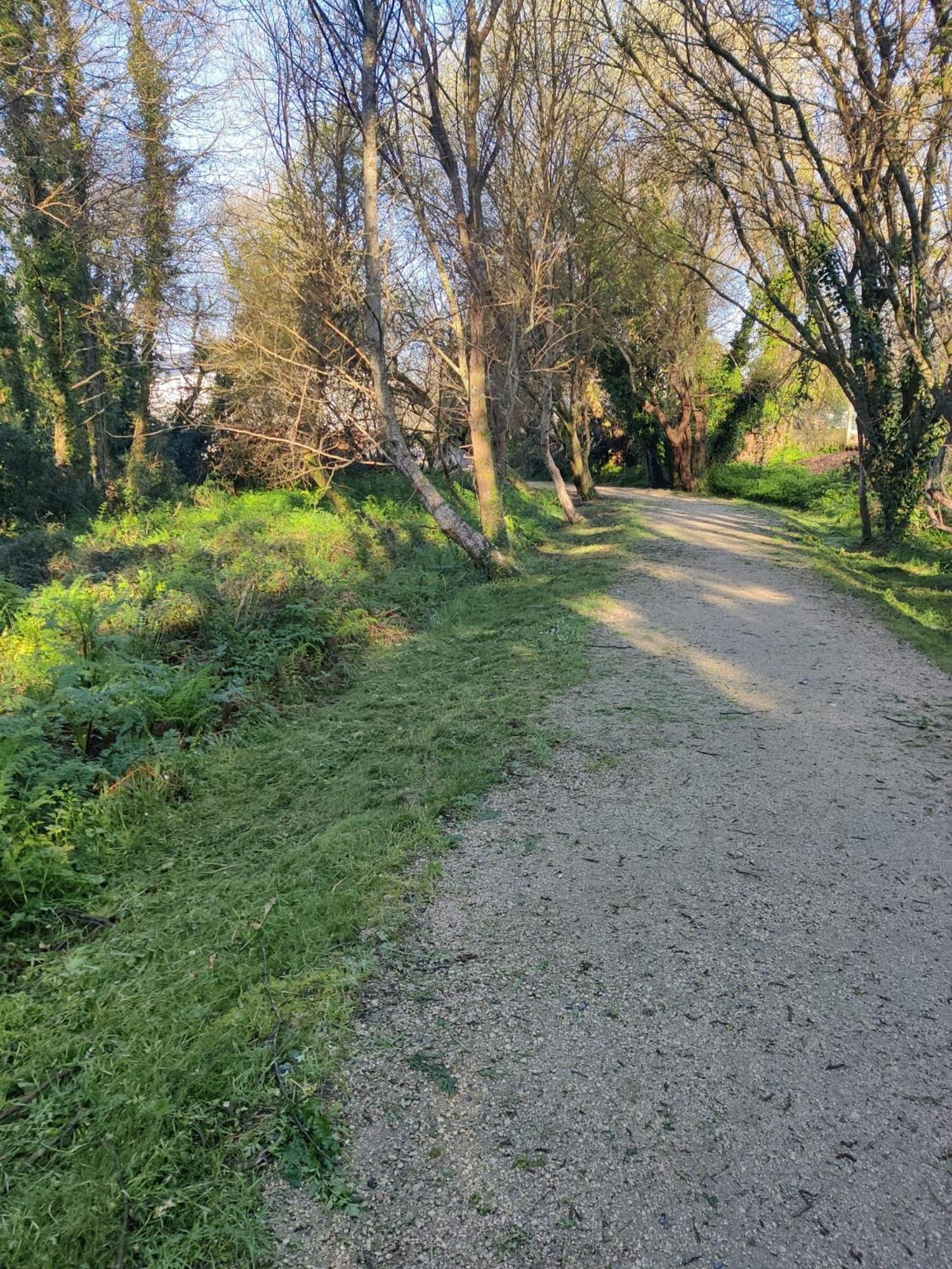 Apartamento Rio Gallo Cuntis Kültér fotó